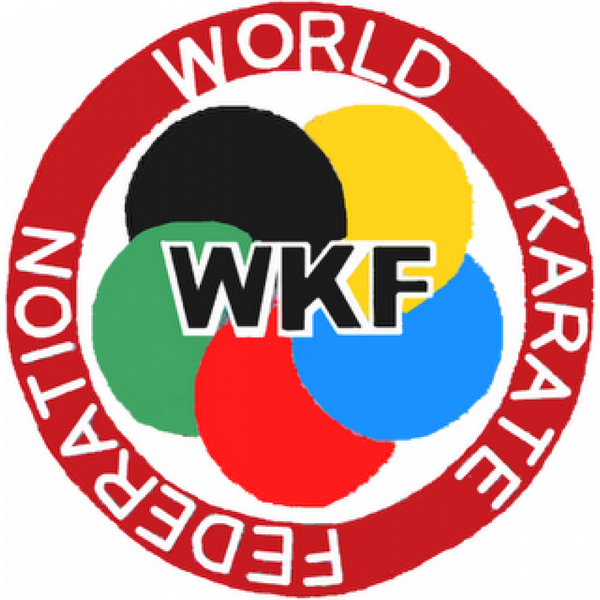 Накладки на руки для карате SMAI WKF &mdash; сині, із захистом великого пальця, поліуретан SMAI-KF-WKF-BLU-XS фото